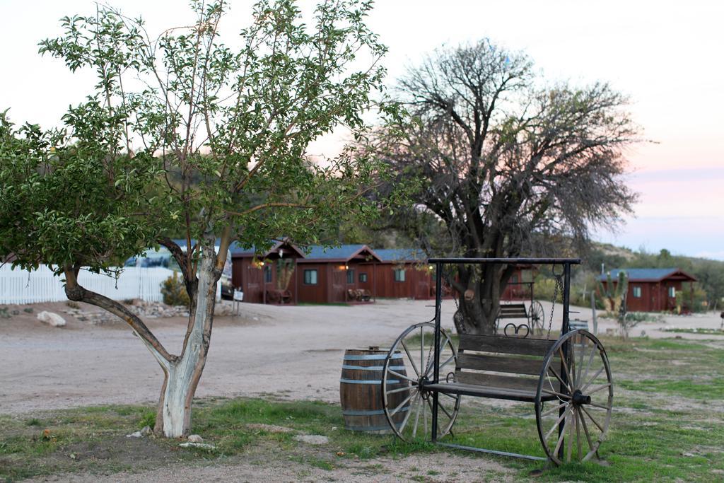 Grand Canyon Western Ranch Meadview Exteriör bild