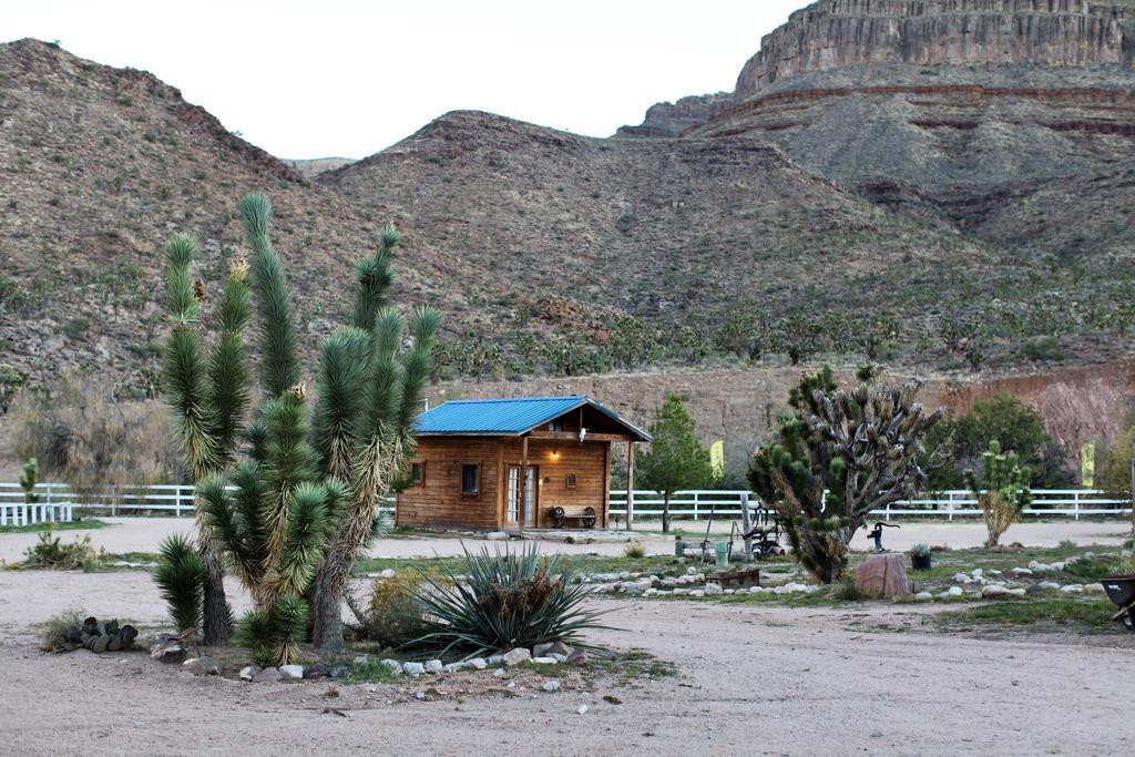 Grand Canyon Western Ranch Meadview Exteriör bild