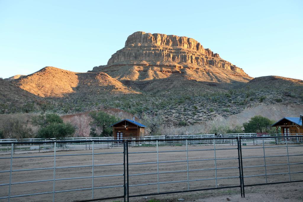 Grand Canyon Western Ranch Meadview Exteriör bild