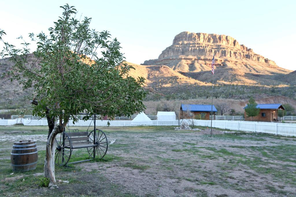 Grand Canyon Western Ranch Meadview Exteriör bild