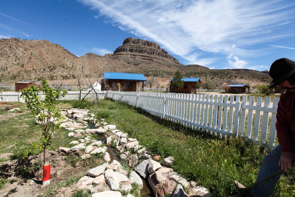 Grand Canyon Western Ranch Meadview Exteriör bild