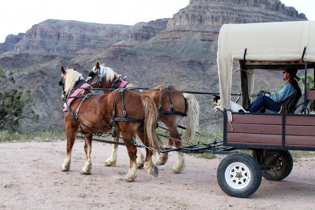 Grand Canyon Western Ranch Meadview Exteriör bild