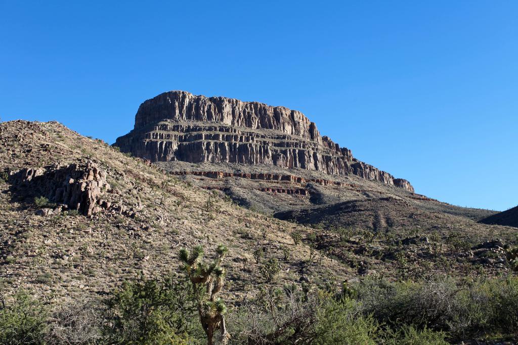 Grand Canyon Western Ranch Meadview Exteriör bild