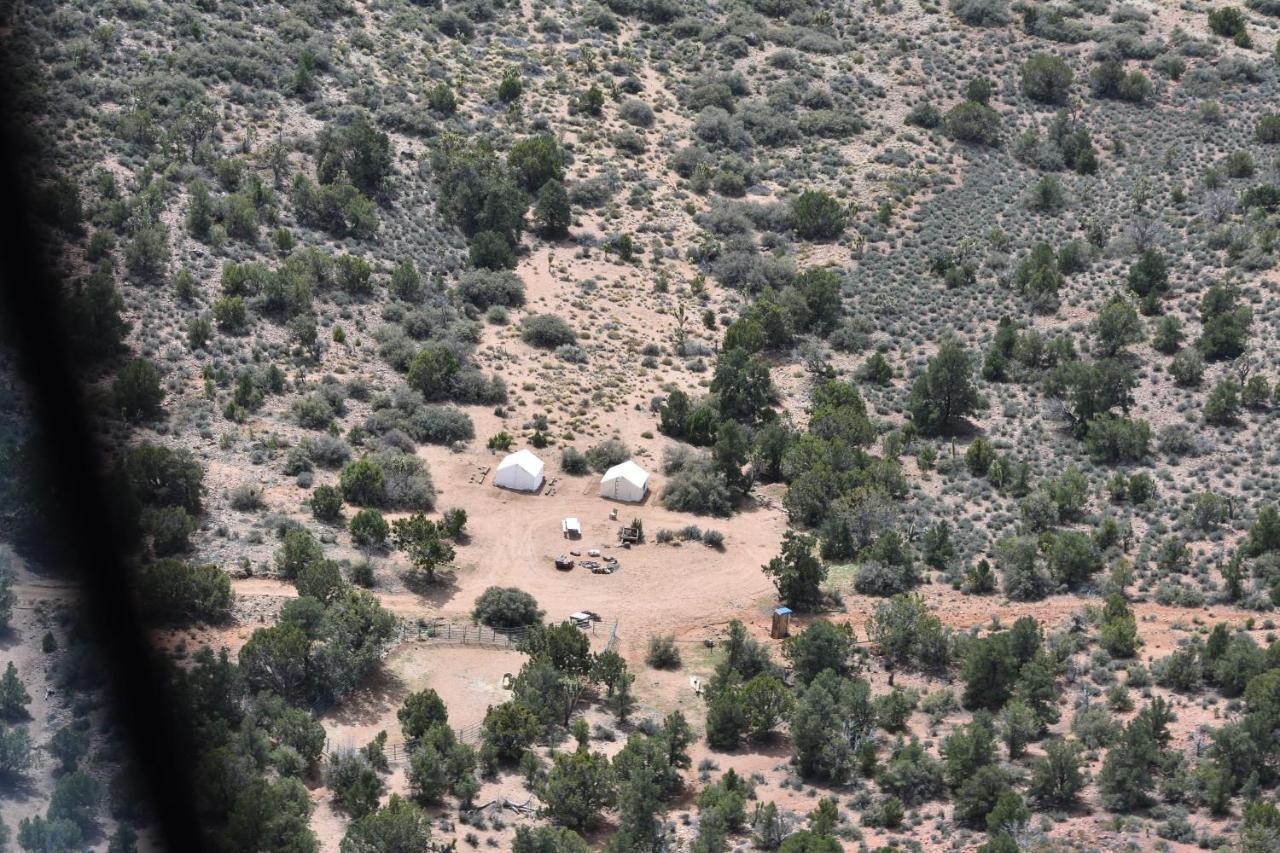 Grand Canyon Western Ranch Meadview Exteriör bild